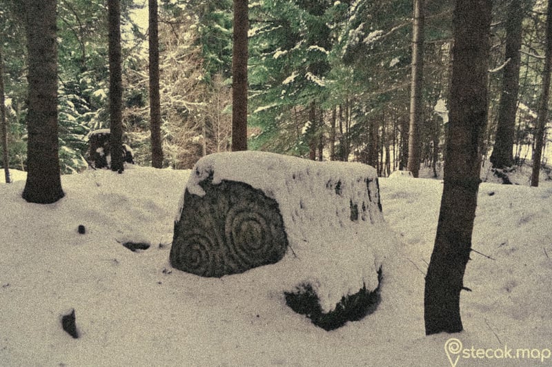 Stećak in forest